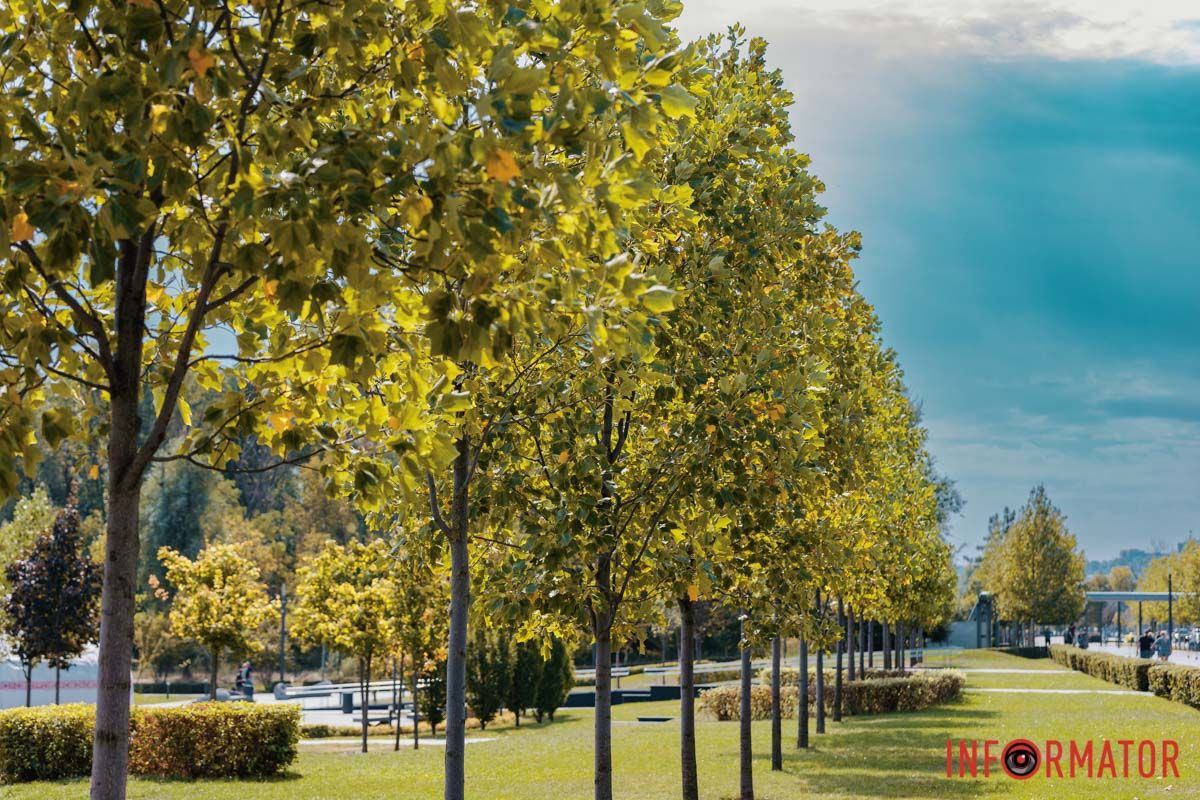 Сквер Прибережний