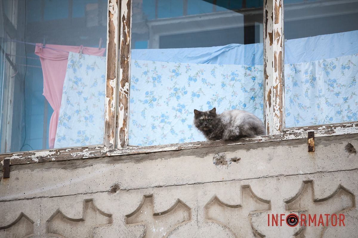 У Дніпрі ліквідовують наслідки нічної ракетної атаки: як виглядають пошкоджені будівлі 17
