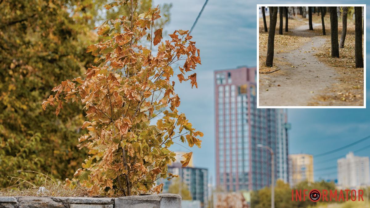 Погода на 6 вересня: у Дніпрі буде ясно, вдень — хмарно