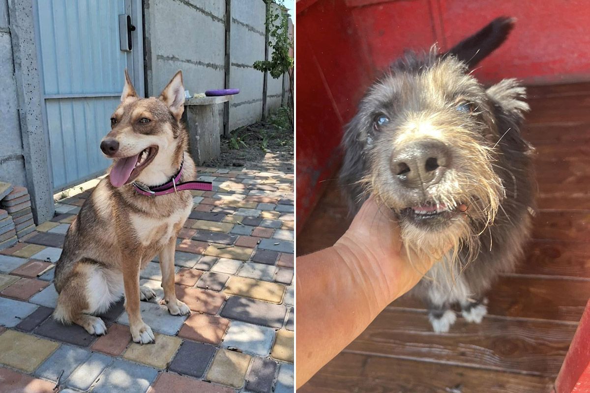 Тільки погляньте в ці оченята