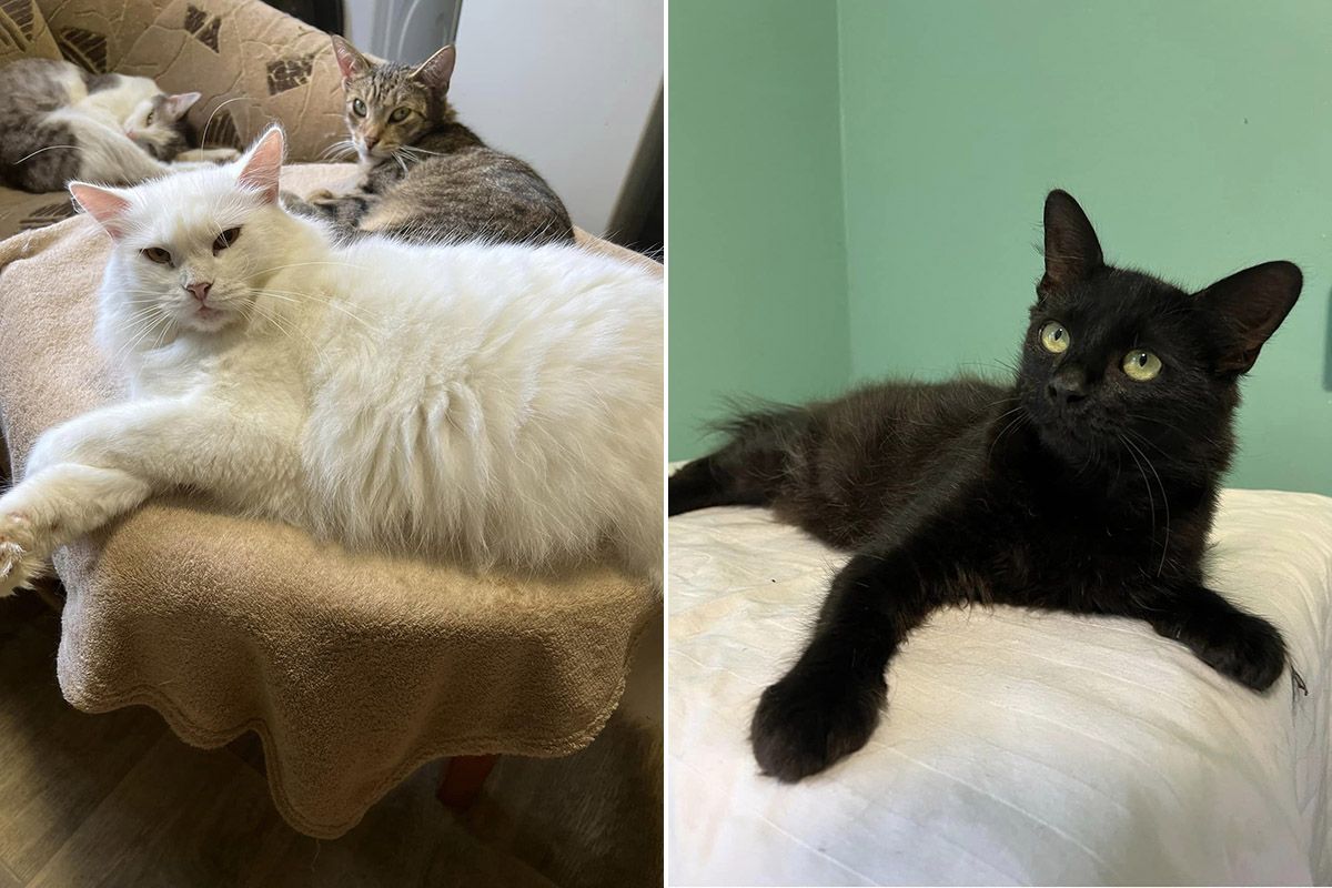 Уважно придивіться до фото