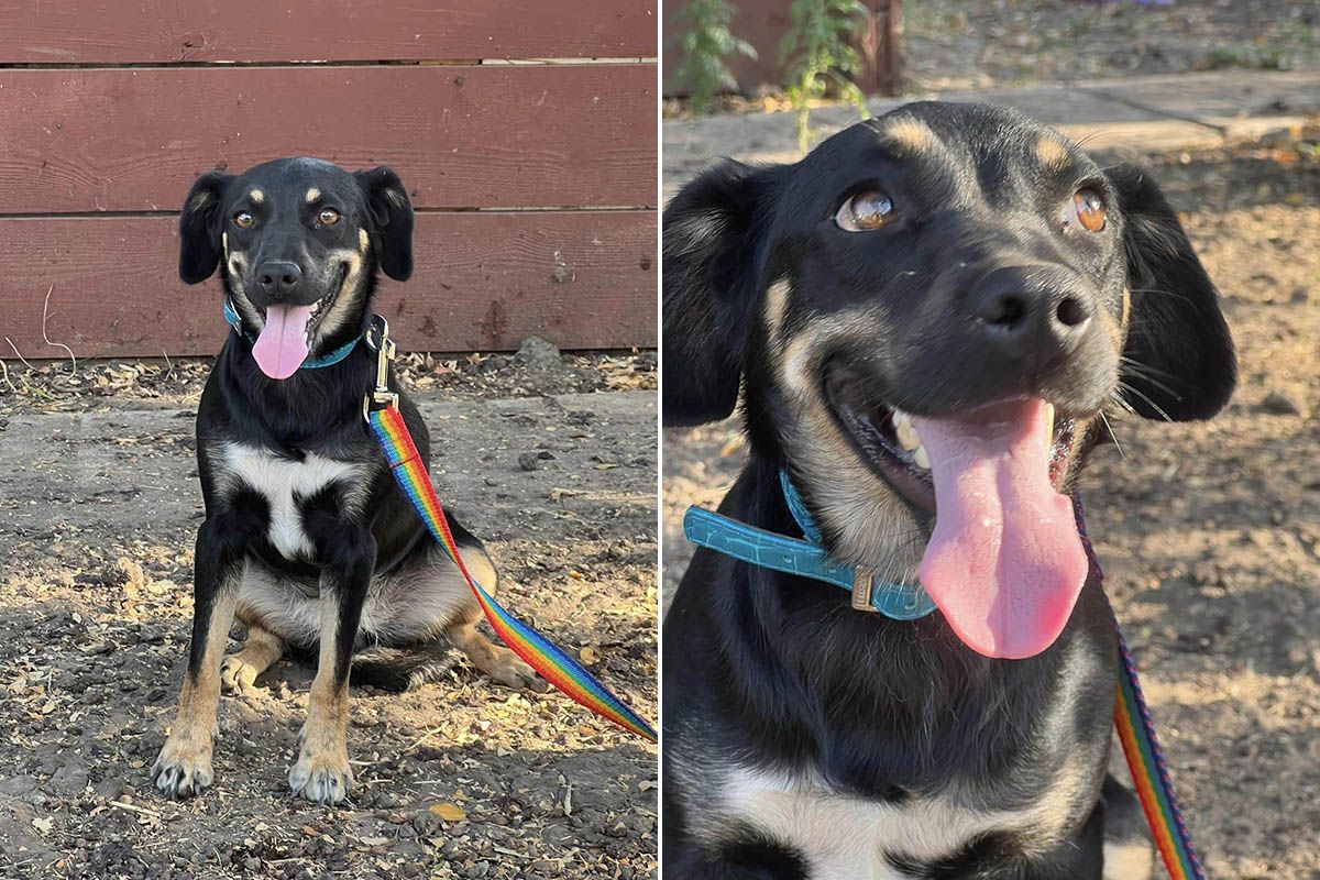 Притулок «Промінчик надії»