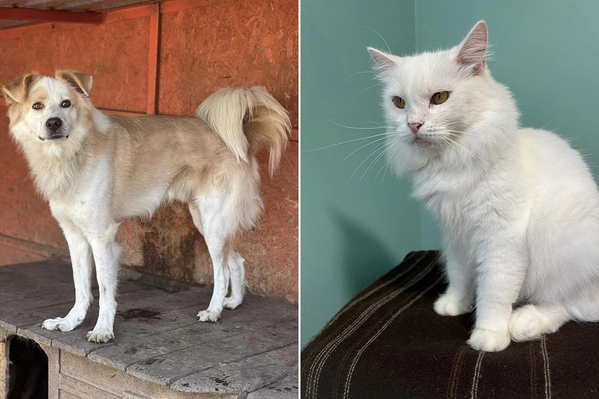 Можливо, один з них - ваша доля