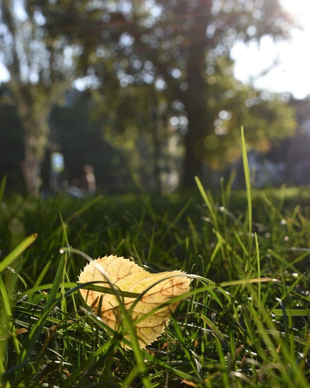 Фото: @olga._.nedeloff Фото: @olga._.nedeloff