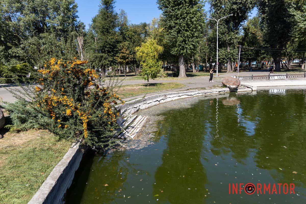 Кущ у воды Грязное озеро и аварийная лестница: реальность парка Глобы в Днепре 33