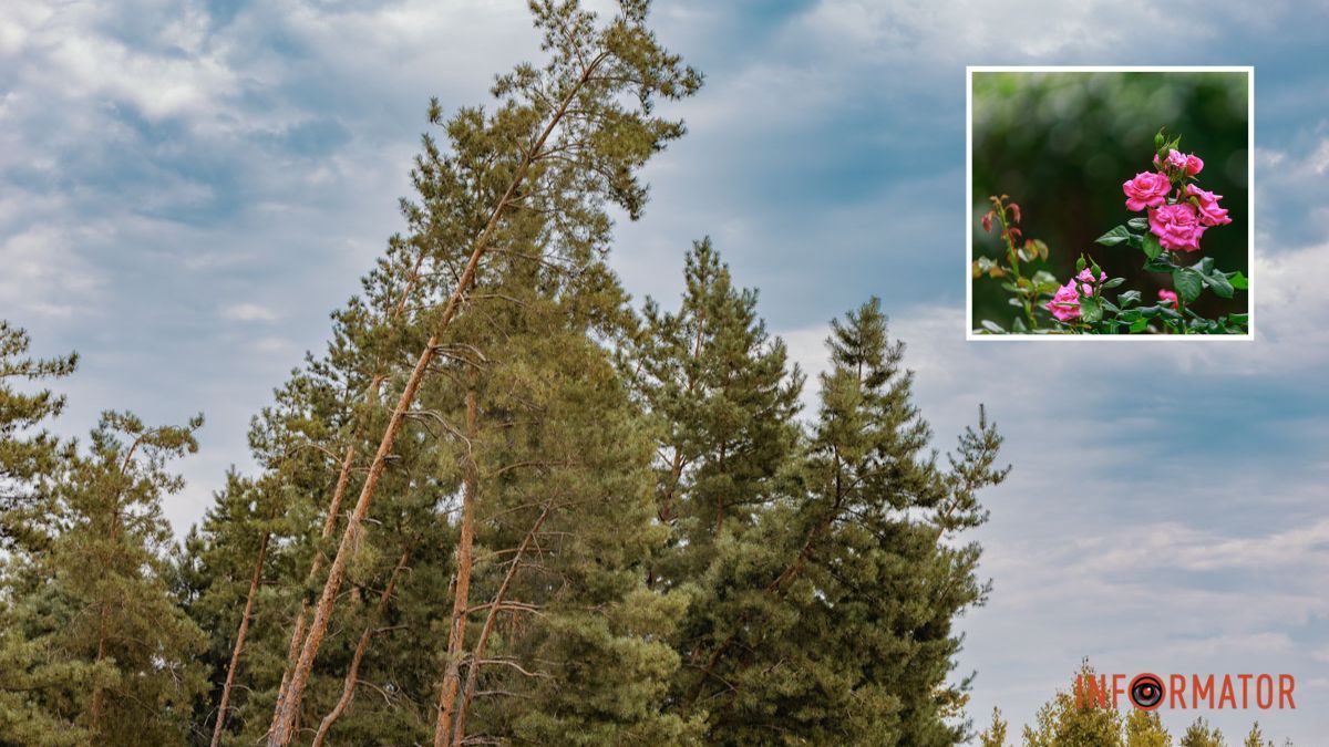 Погода на 11 сентября: в Днепре будет облачно