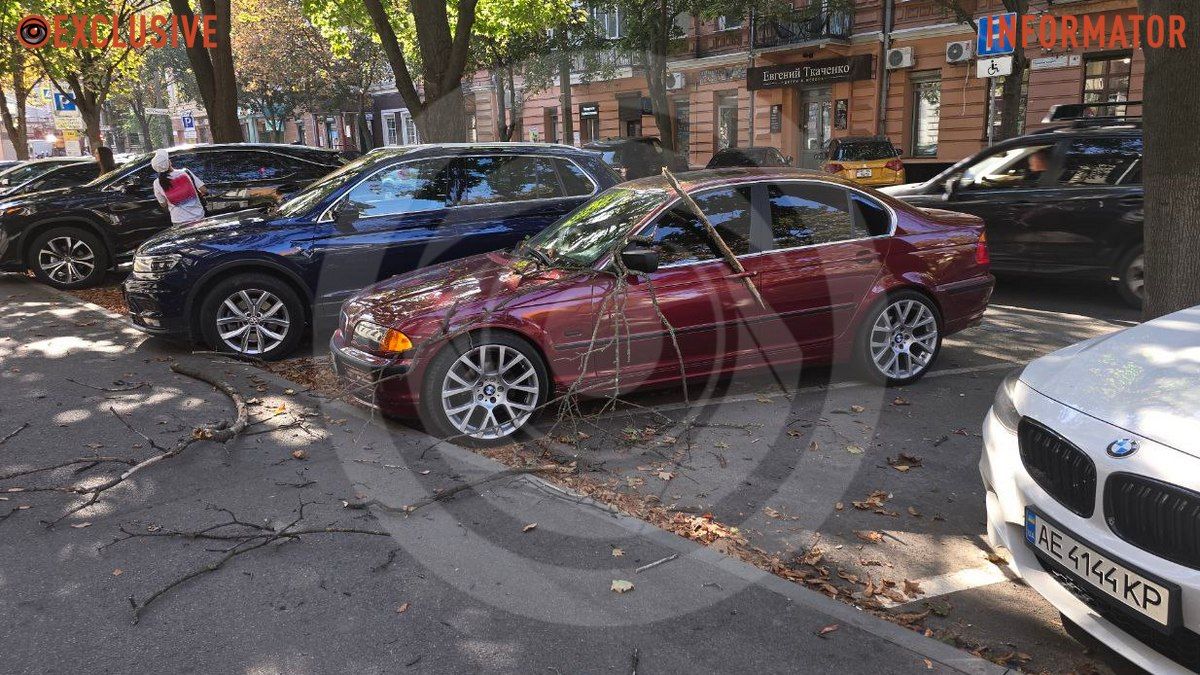 В Днепре на Михаила Грушевского сухая ветка с дерева упала на припаркованный BMW