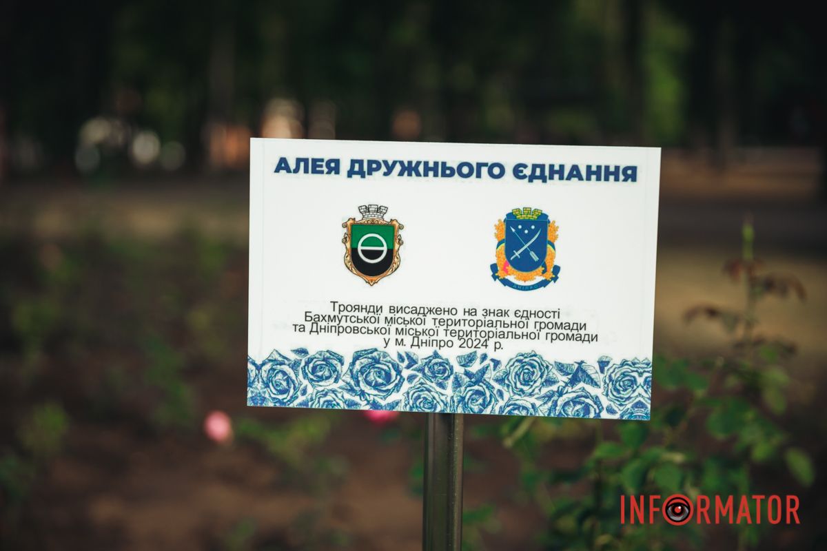 Поскольку уже наступила осень, то розы расцветут уже в следующем, надеемся, мирном году