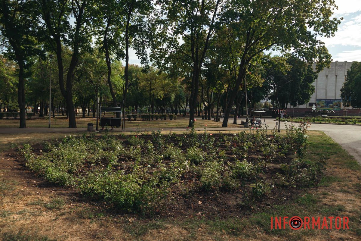 Расцветающие в сердце розы всегда оставляют след