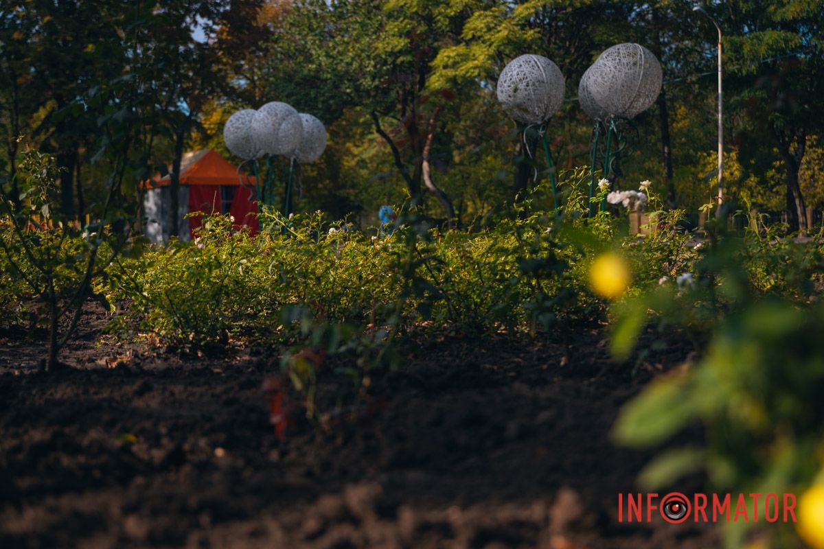 В сквере Ивана Старова в Днепре высадили 100 кустов роз ко Дню города 37