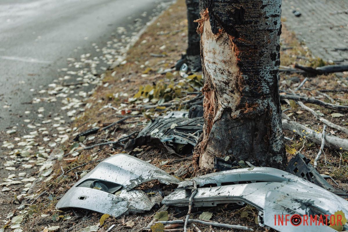 У Дніпрі на Набережній Перемоги Honda влетіла у дерево 3