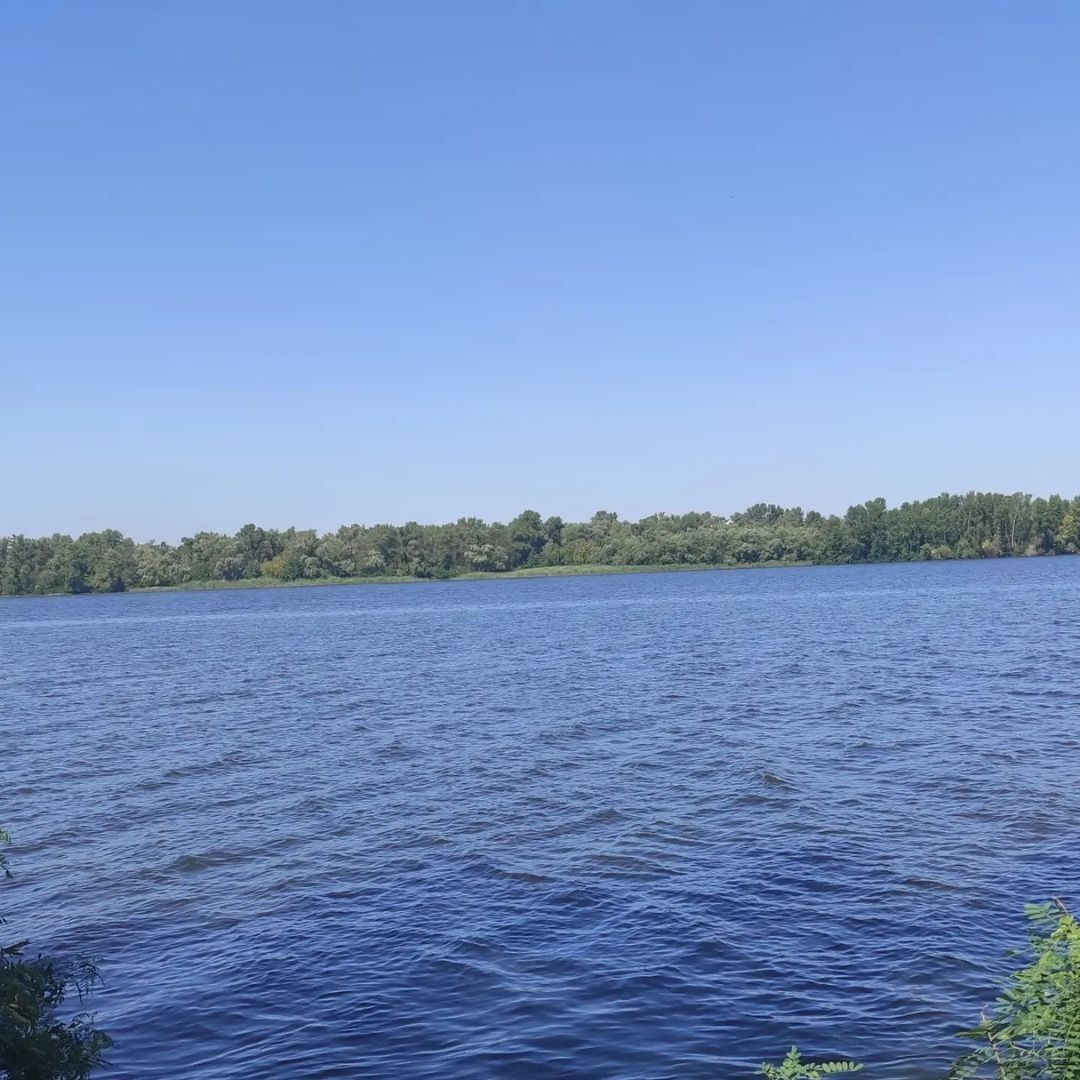 svetlanavognivenko svetlanavognivenko