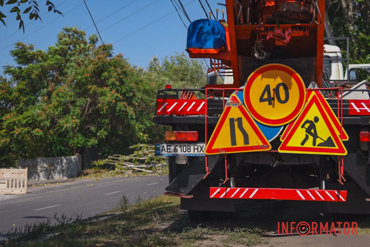 В Днепре на Павлова упал тополь и оборвал провода: движение перекрыто 9