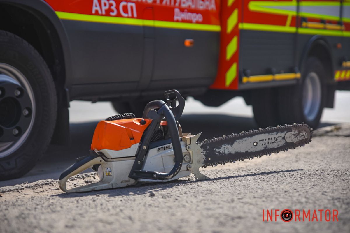 В Днепре на Павлова упал тополь и оборвал провода: движение перекрыто 12