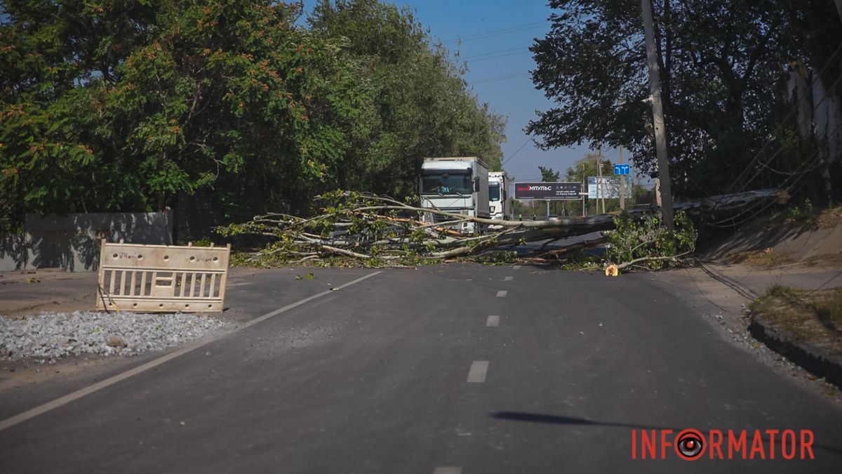 У Дніпрі на Павлова впала тополя та обірвала дроти: рух перекрито