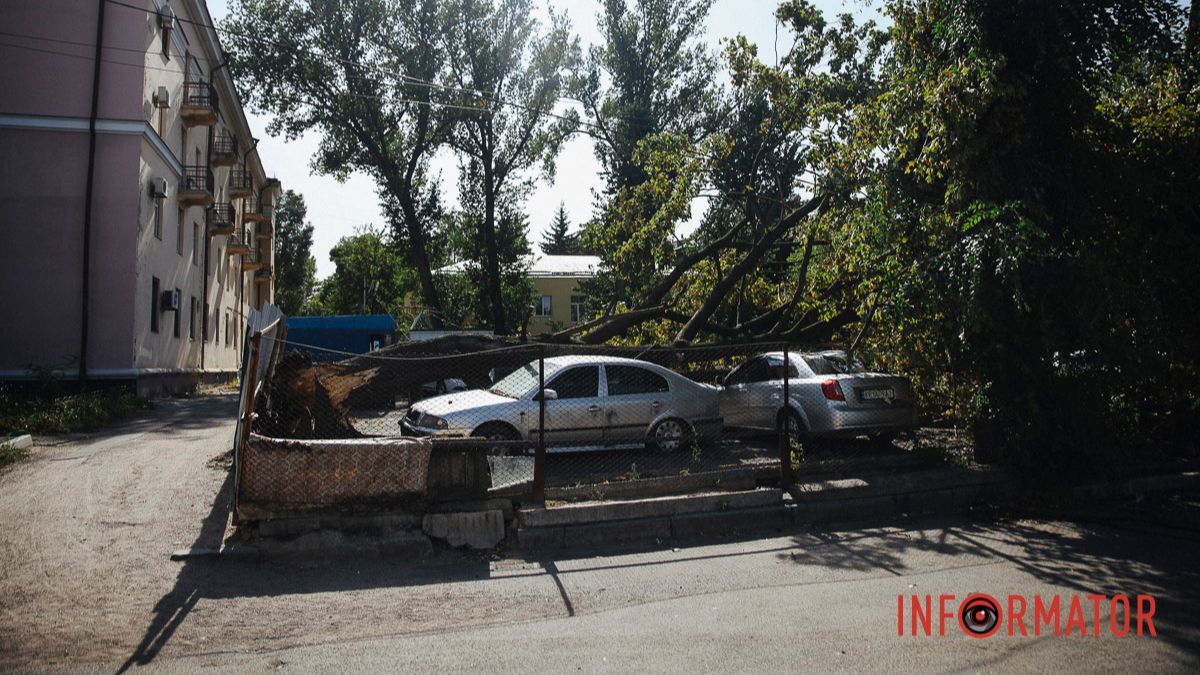 У Дніпрі на Робочій дерево впало на дві припарковані автівки