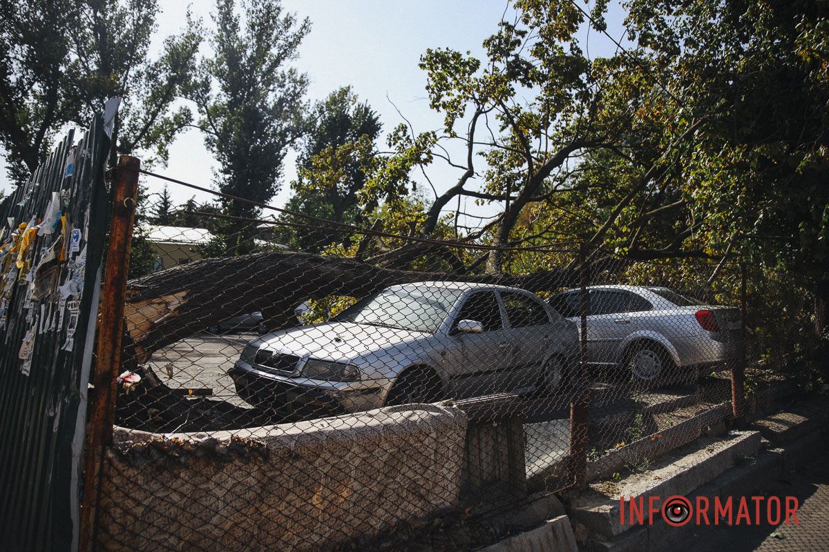 У Дніпрі на Робочій дерево впало на дві припарковані автівки 1