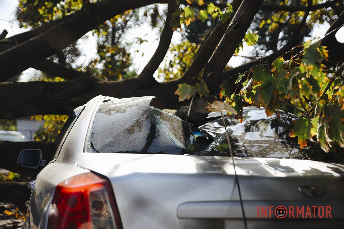 У Дніпрі на Робочій дерево впало на дві припарковані автівки 3