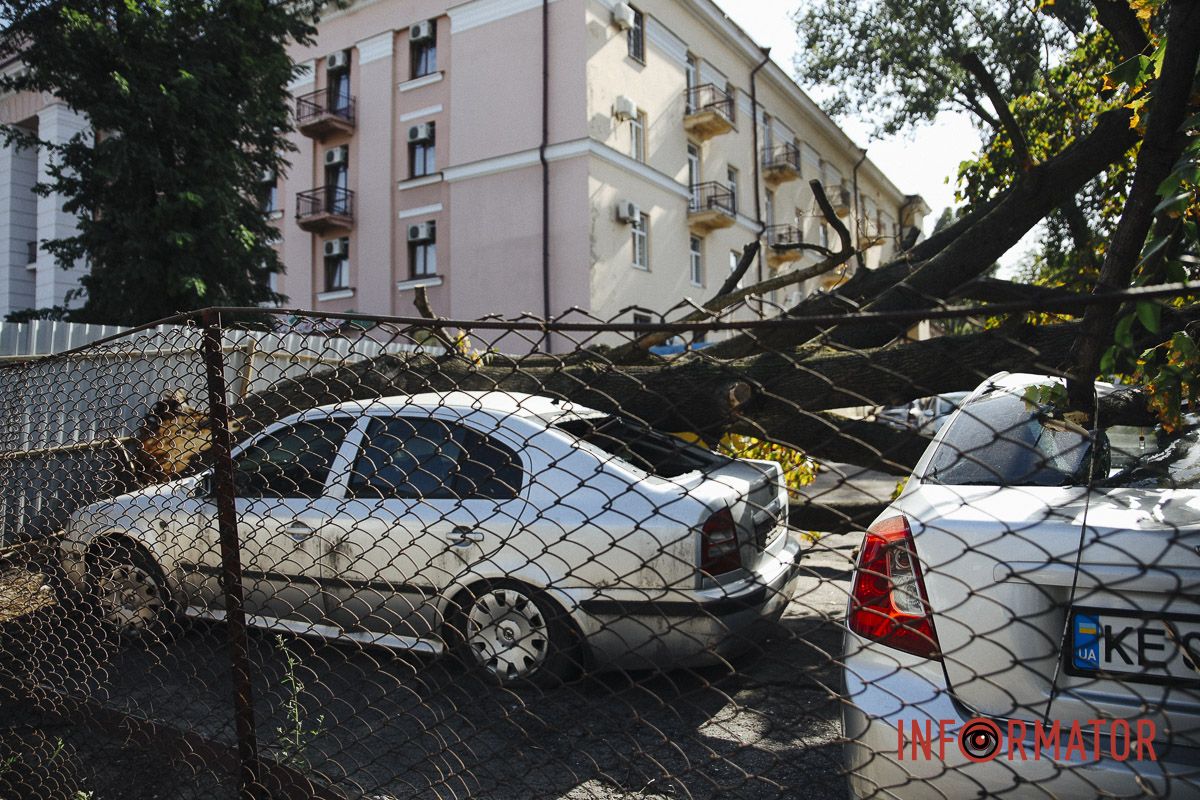 У Дніпрі на Робочій дерево впало на дві припарковані автівки 4
