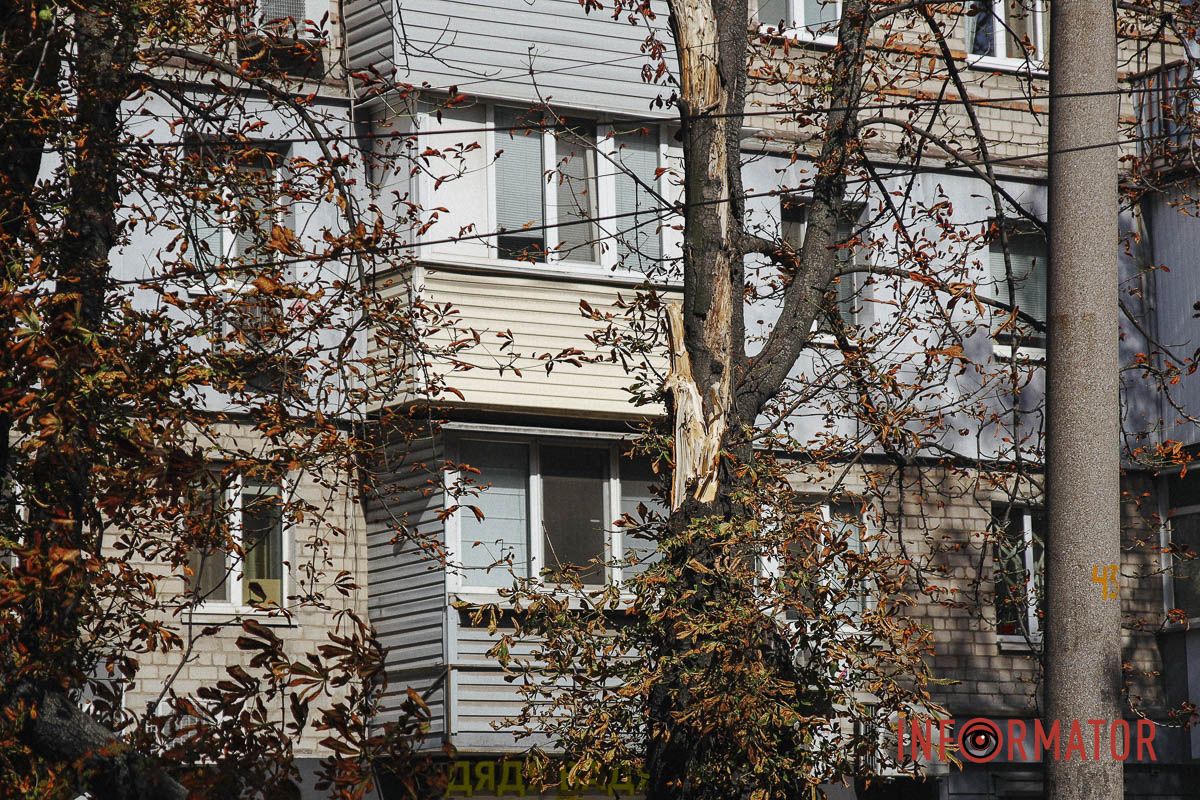 У Дніпрі на вулиці Незалежності гілка дерева впала на дорогу: зайнята смуга 2