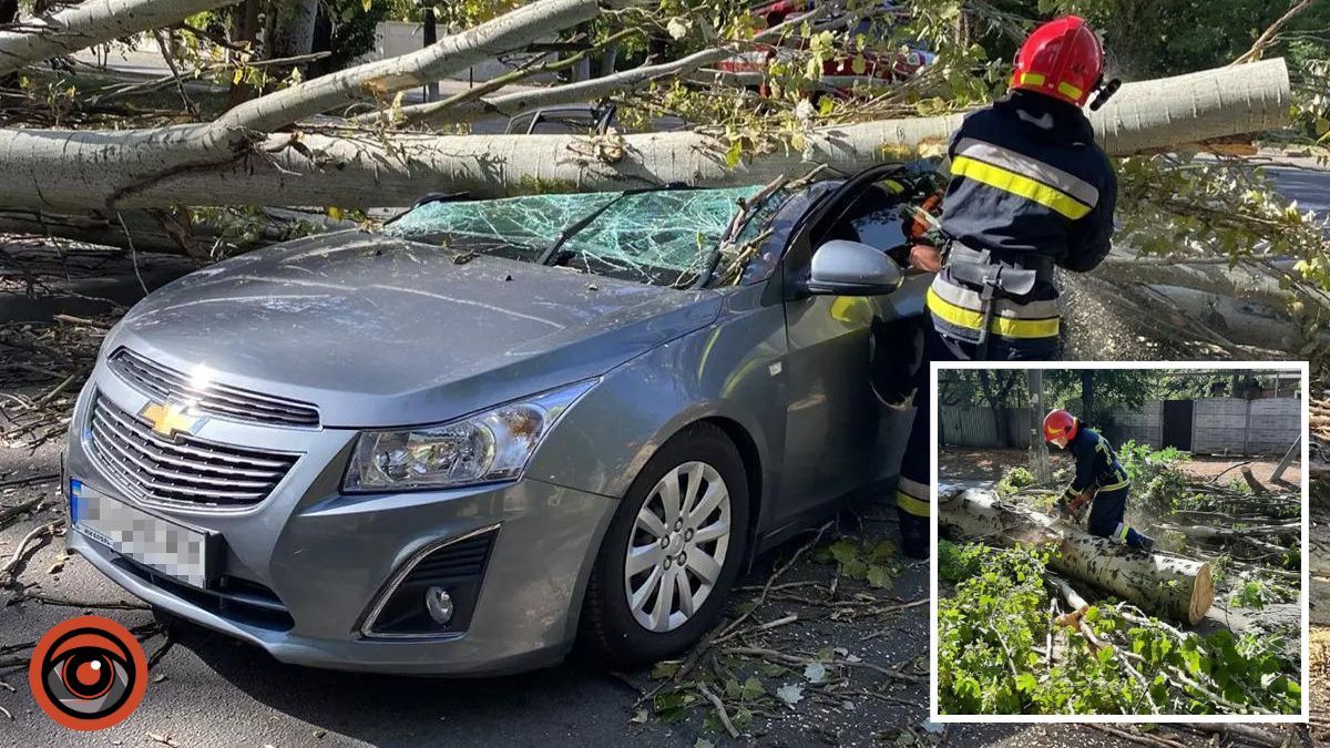 В Днепропетровской области дерево упало на Chevrolet с людьми