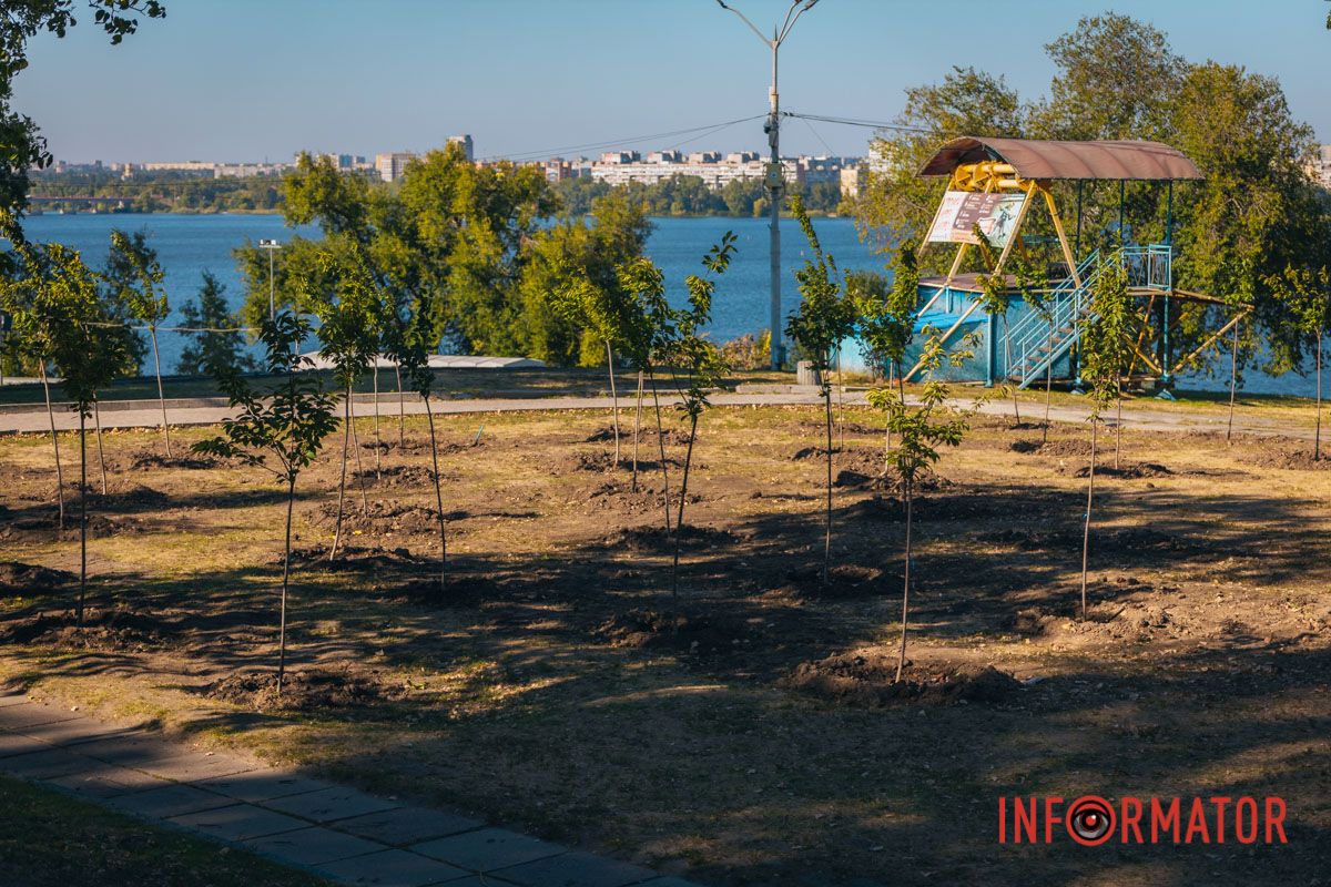 Уже приходять перші відвідувачі: у Дніпрі в парку Шевченка з’явилася найбільша в місті алея сакур 2