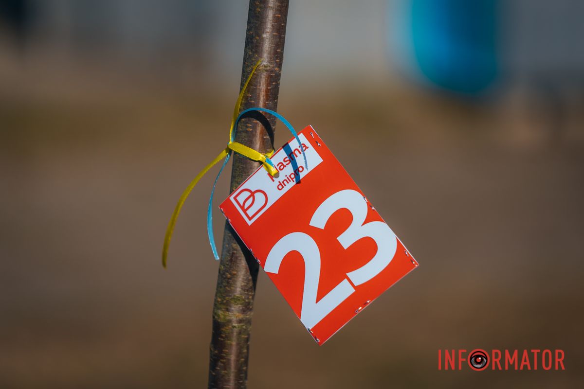 Уже приходять перші відвідувачі: у Дніпрі в парку Шевченка з’явилася найбільша в місті алея сакур 5