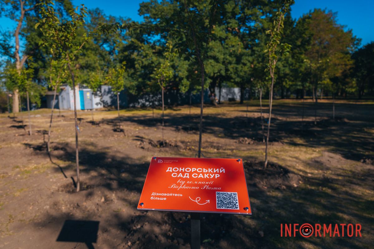 Уже приходять перші відвідувачі: у Дніпрі в парку Шевченка з’явилася найбільша в місті алея сакур 4