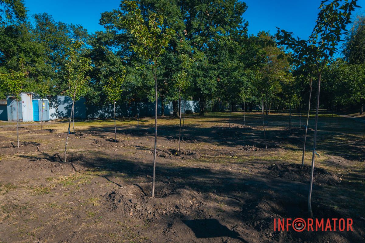 Уже приходять перші відвідувачі: у Дніпрі в парку Шевченка з’явилася найбільша в місті алея сакур 12