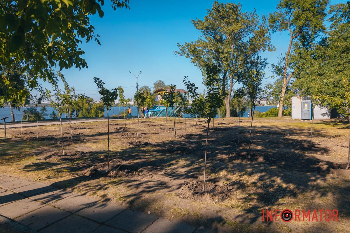 Уже приходять перші відвідувачі: у Дніпрі в парку Шевченка з’явилася найбільша в місті алея сакур 13