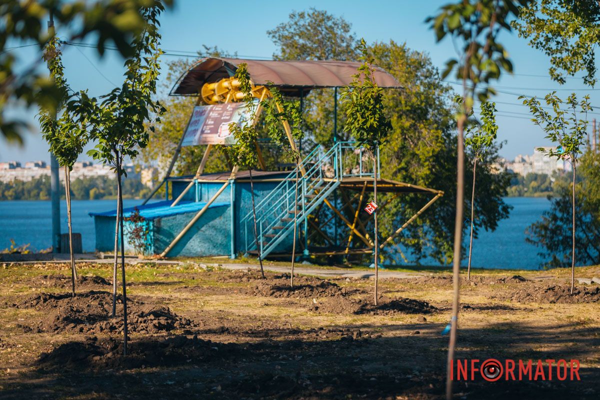 Уже приходять перші відвідувачі: у Дніпрі в парку Шевченка з’явилася найбільша в місті алея сакур 16