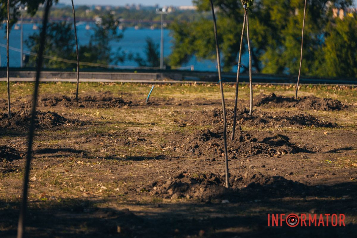 Уже приходять перші відвідувачі: у Дніпрі в парку Шевченка з’явилася найбільша в місті алея сакур 17