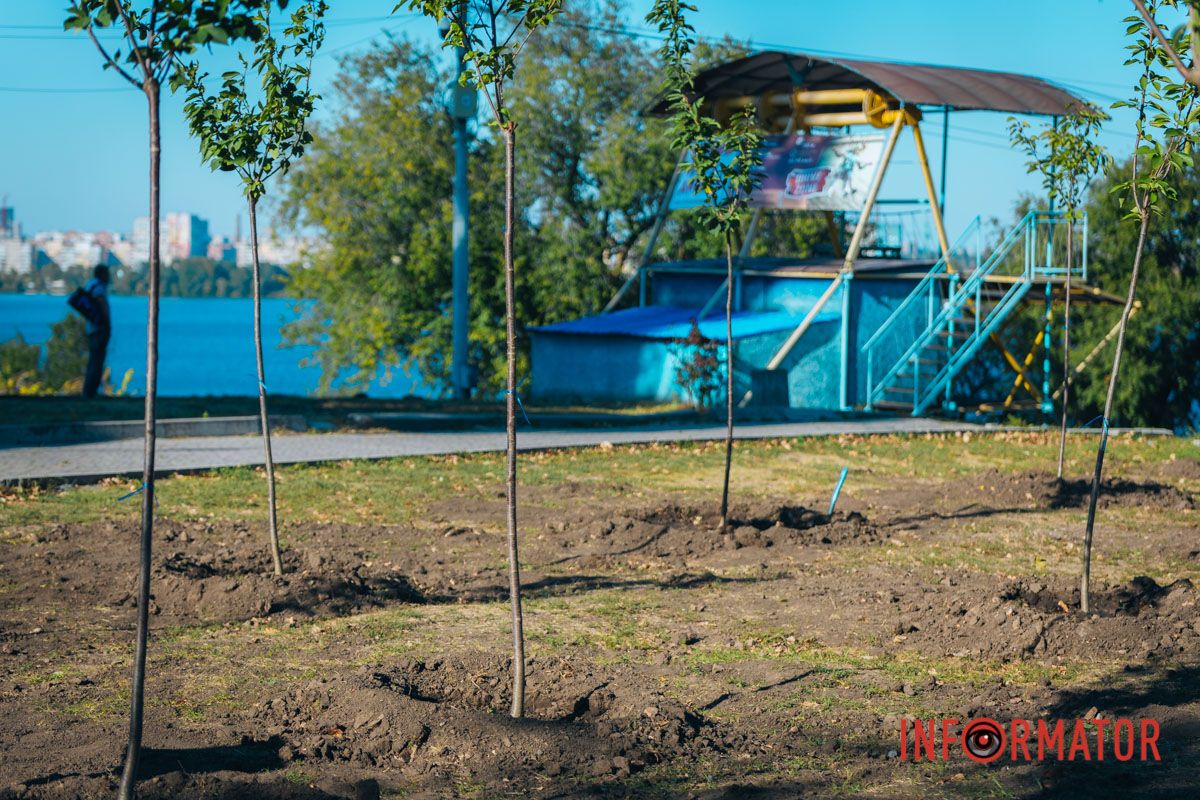 Уже приходять перші відвідувачі: у Дніпрі в парку Шевченка з’явилася найбільша в місті алея сакур 22