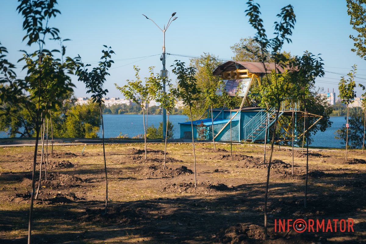 Уже приходять перші відвідувачі: у Дніпрі в парку Шевченка з’явилася найбільша в місті алея сакур 23