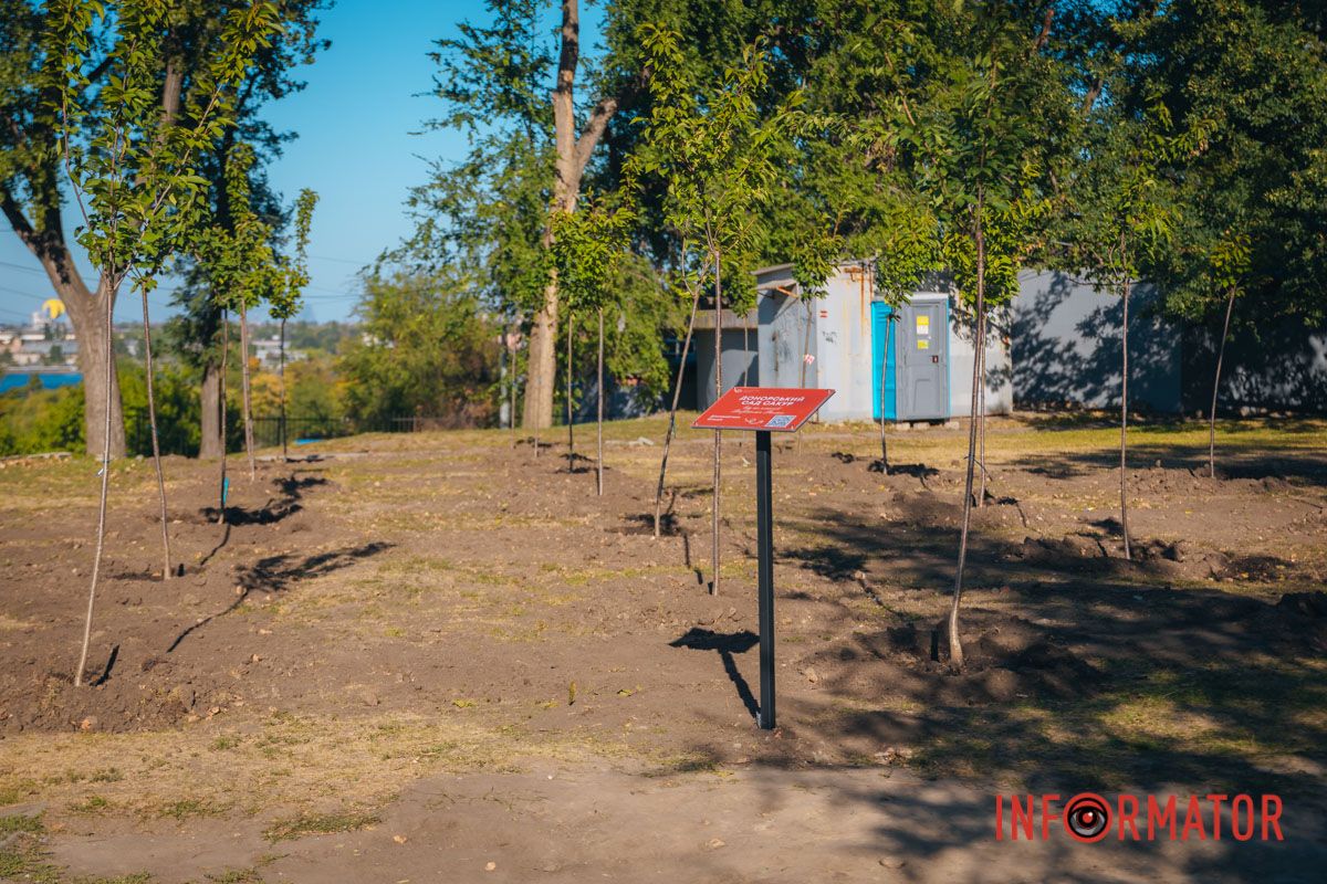 Уже приходять перші відвідувачі: у Дніпрі в парку Шевченка з’явилася найбільша в місті алея сакур 25