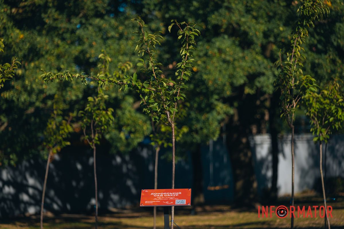 Уже приходять перші відвідувачі: у Дніпрі в парку Шевченка з’явилася найбільша в місті алея сакур 26