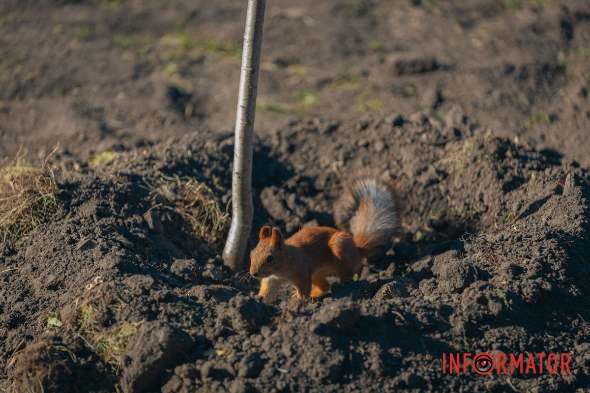 Вже прийшли перші відвідувачі