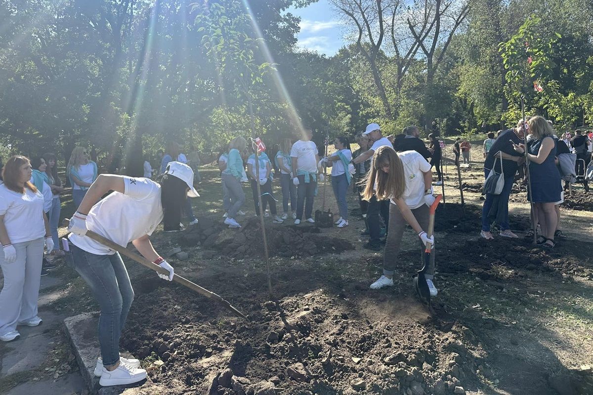 Донорська алея сакур з'явилася в Дніпрі. Фото: міськрада Дніпра