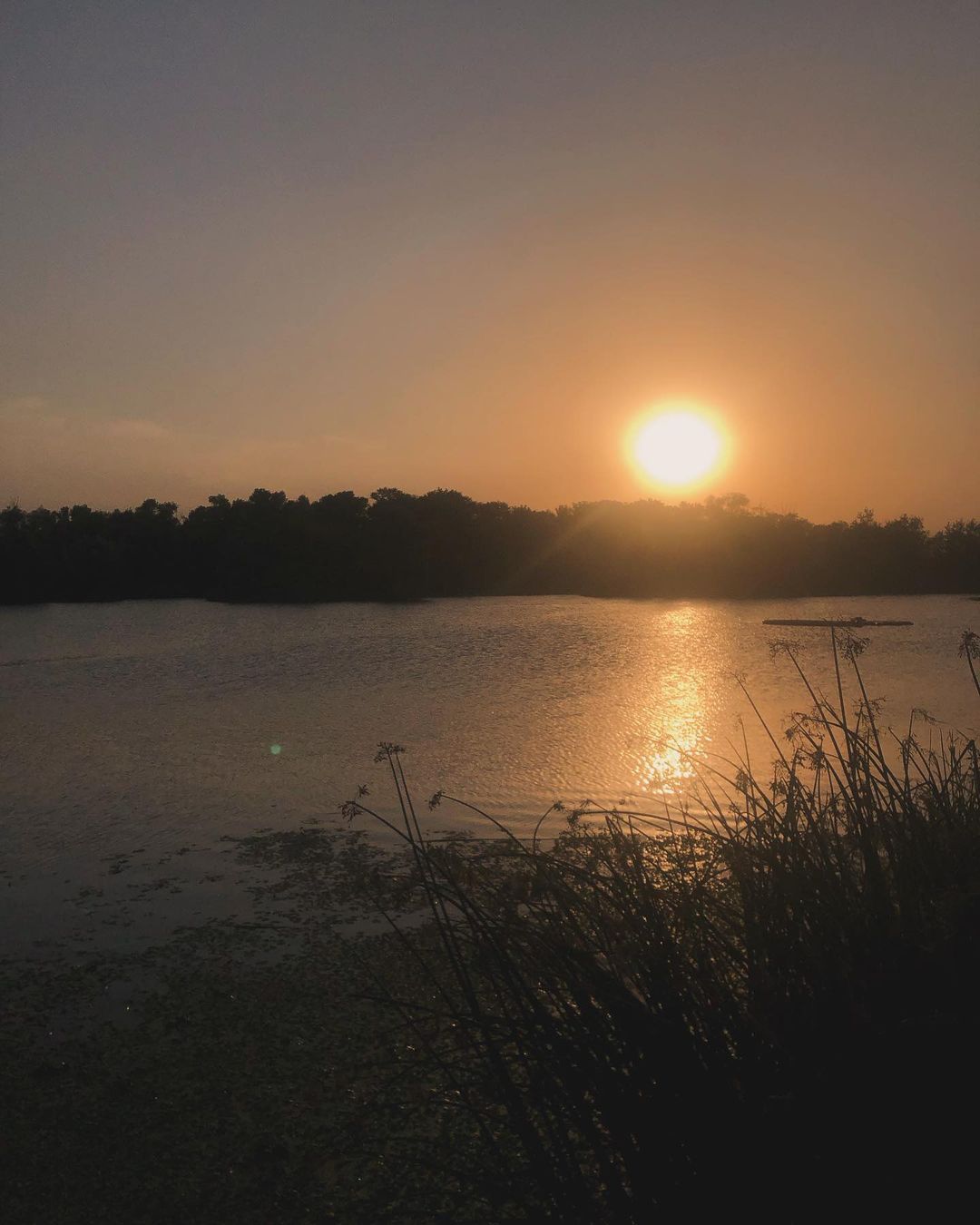 nosenkoekaterina nosenkoekaterina