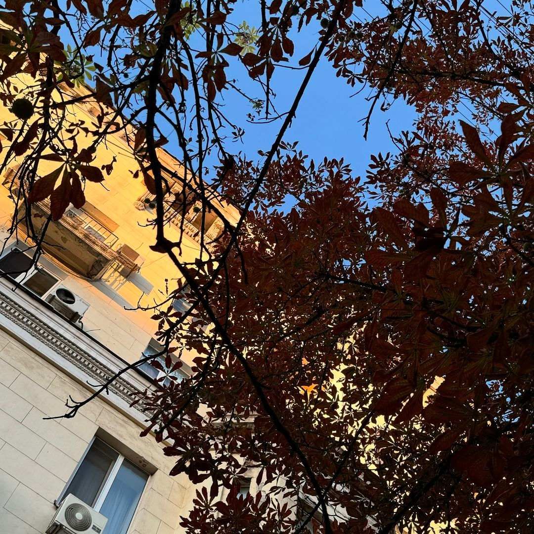 mashapedagog mashapedagog