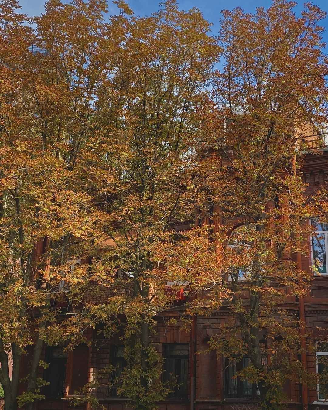 pingvi_o_o pingvi_o_o