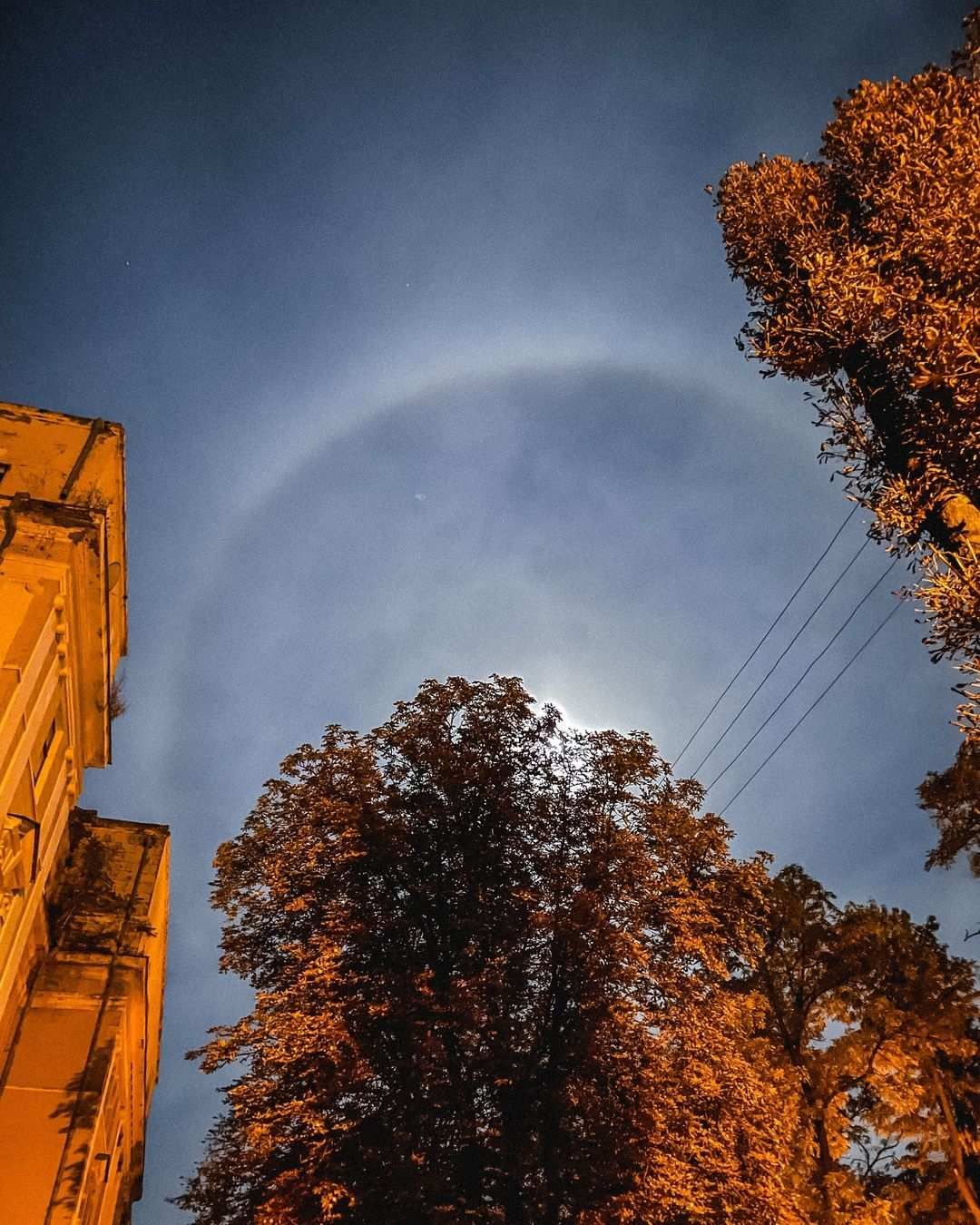 viktoria_amy viktoria_amy