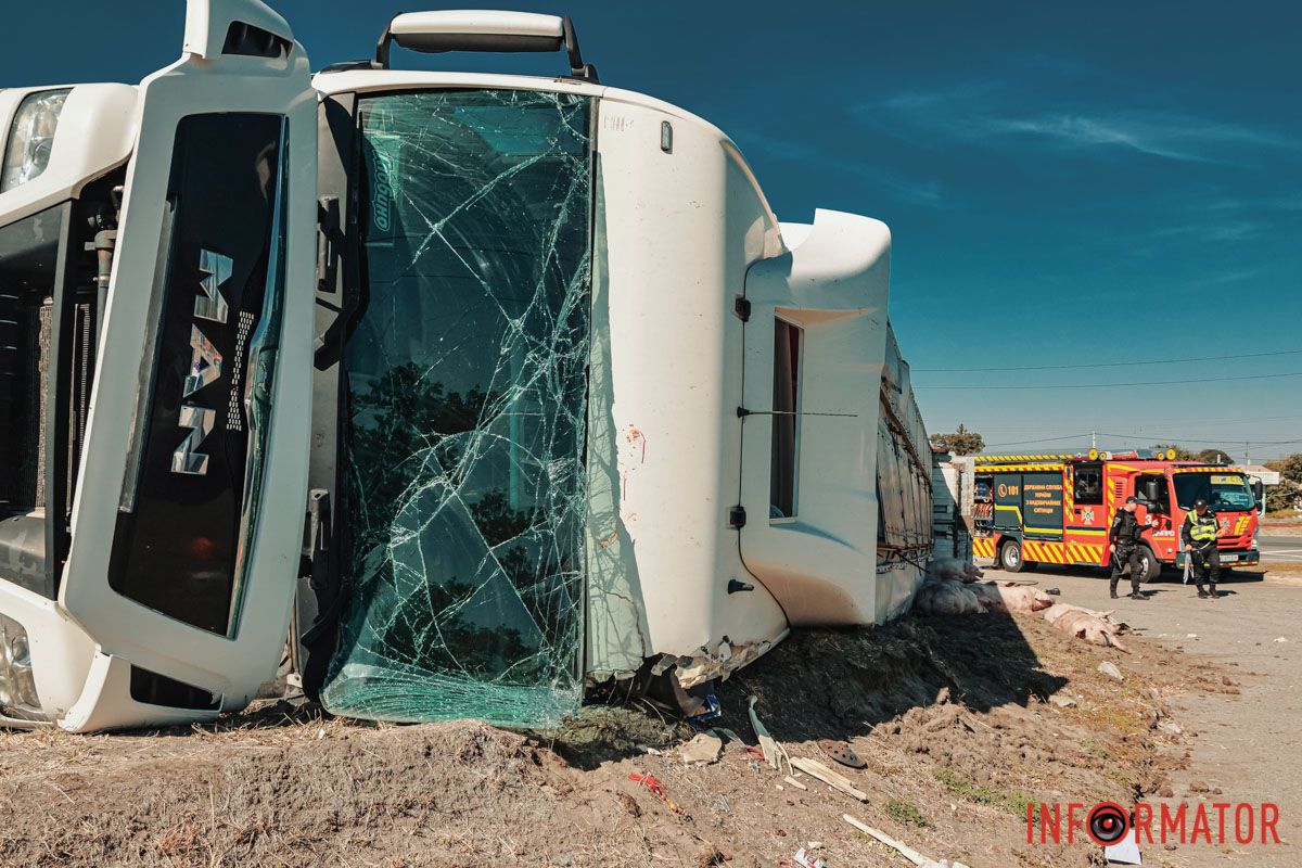 В Днепре на Донецком шоссе опрокинулась фура со свиньями: движение перекрыли 2