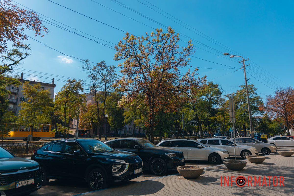 У Дніпрі у вересні почали квітнути каштани 19