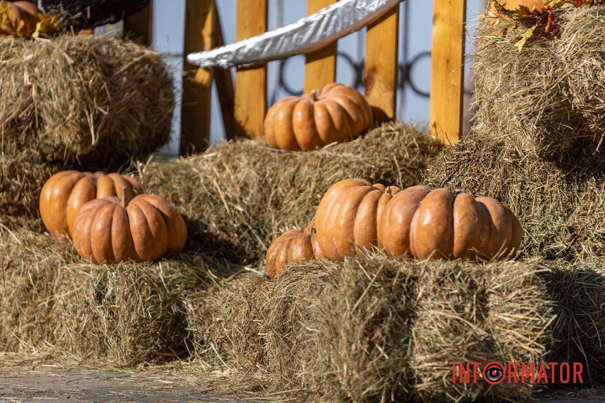 Вона вже привернула увагу місцевих Нова фотозона у Дніпрі: парк Шевченка прикрасили до Дня українського козацтва 6