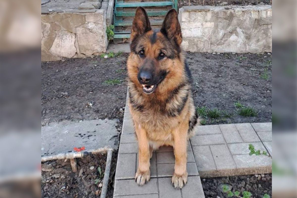 Альма Альма