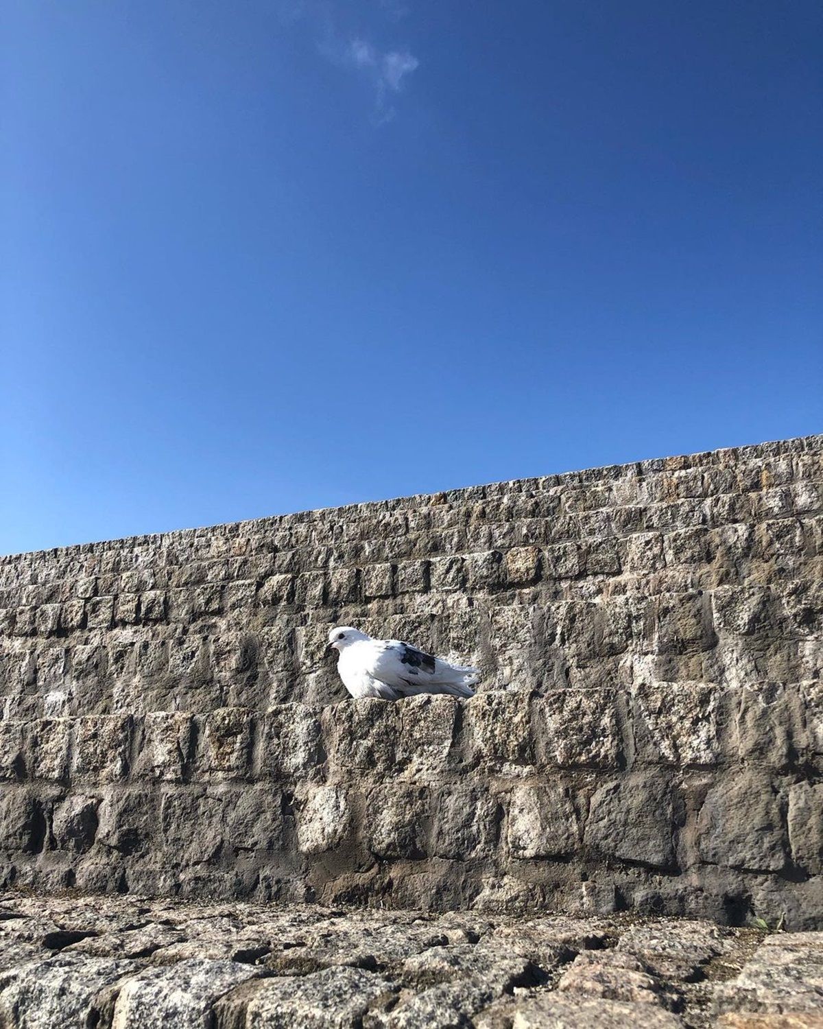 Фото: @iryna_bog Фото: @iryna_bog