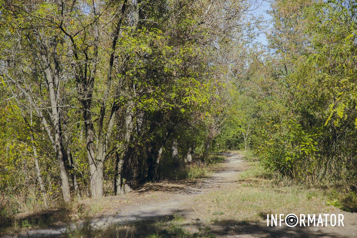«Днепровские Майами»: на левом берегу на месте зеленой зоны планируют построить новый микрорайон 6