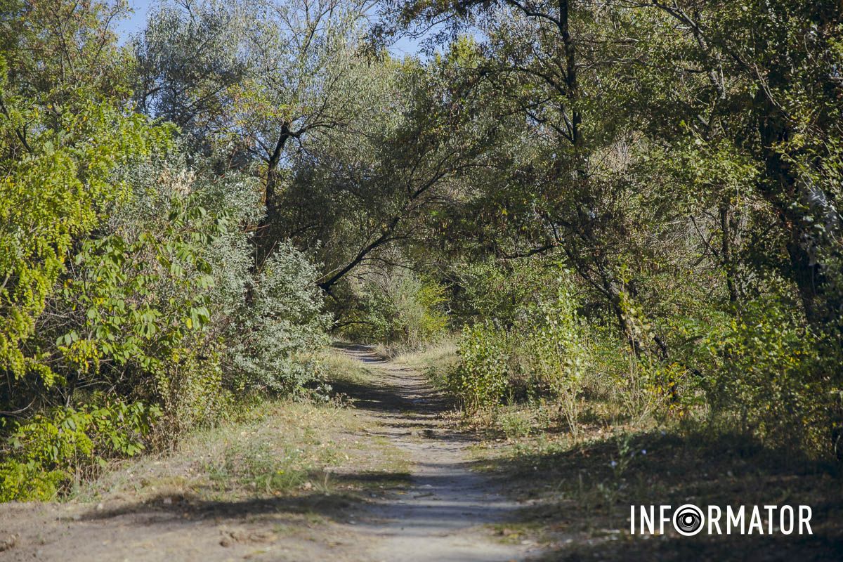 «Днепровские Майами»: на левом берегу на месте зеленой зоны планируют построить новый микрорайон 7