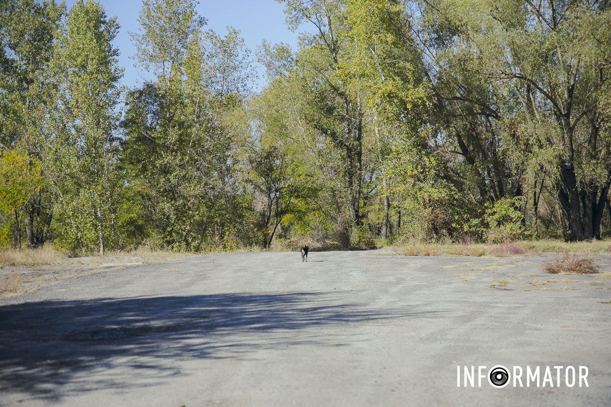 «Днепровские Майами»: на левом берегу на месте зеленой зоны планируют построить новый микрорайон 8